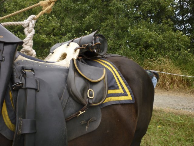 cavalrysaddle.jpg